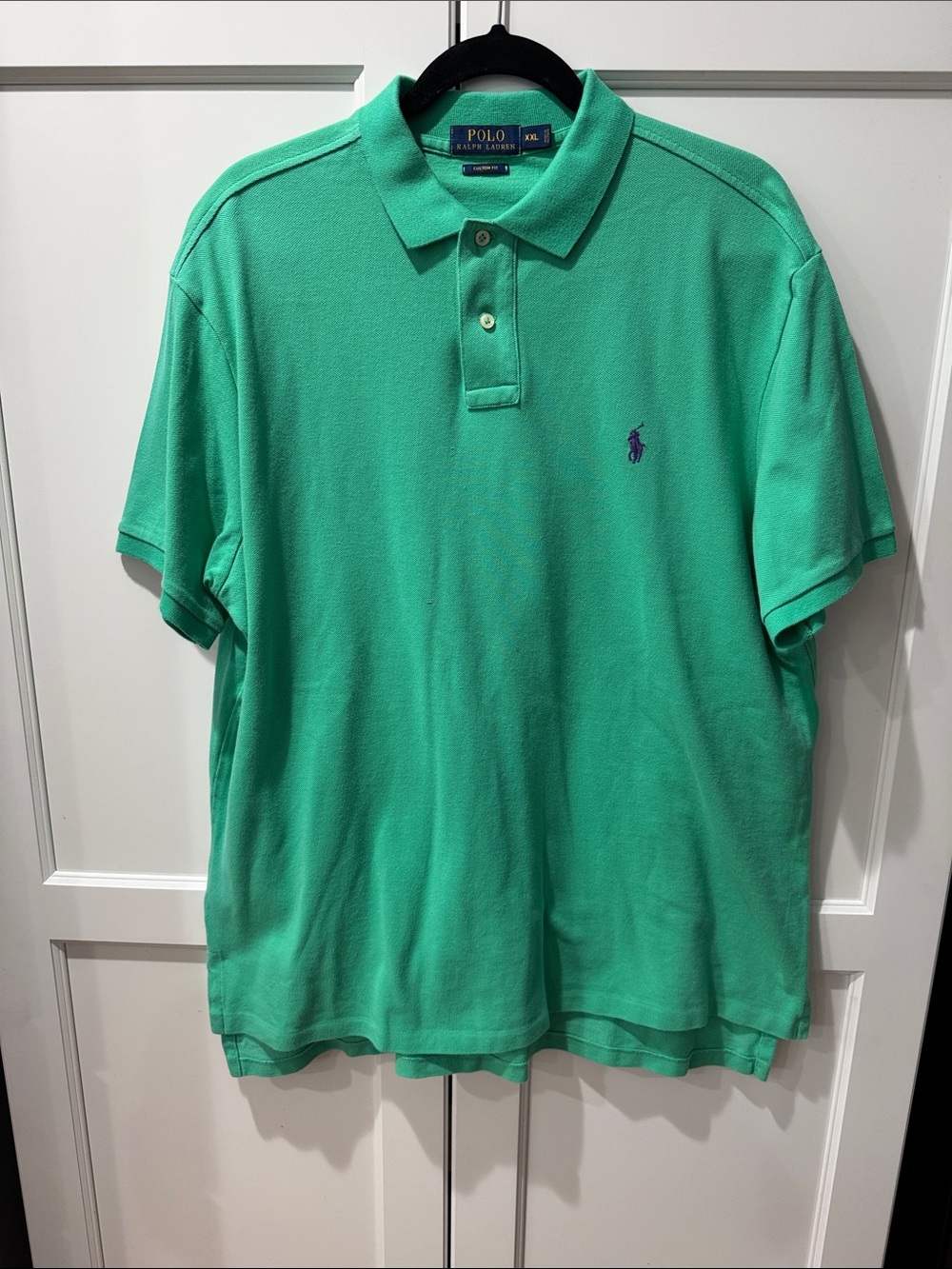 Polo by Ralph Lauren Teal/Green Short-Sleeve Polo with Purple Pony